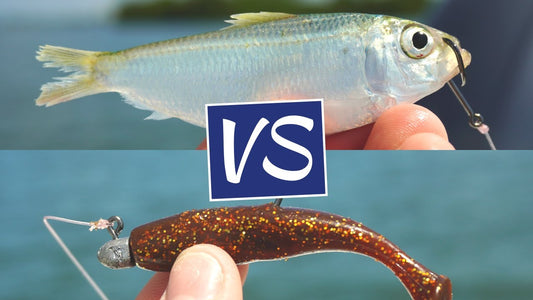 Natural Bait or Artificial Bait: Pros and Cons