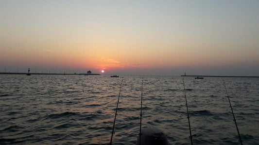 Where to Fish in the Venice Lagoon, Chioggia Area, and What Bait to Use